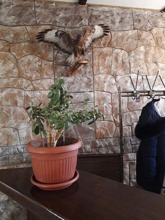 Хостелы Hostel Niagara Никополь-19